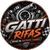 GUSTAVO FERREIRA GATTI